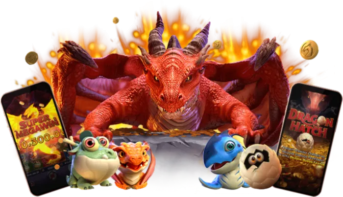 panda1234ทางเข้า 4